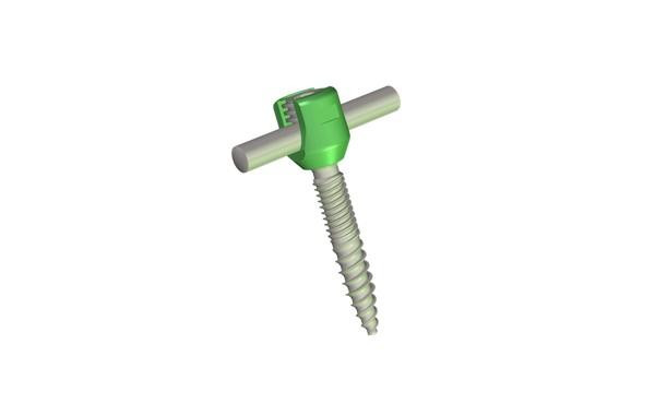 GREENS Polyaxial Screw 5.5mm rod system